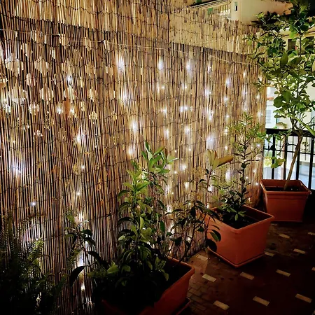 Foce24 - Garden -