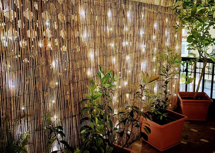 Foce24 - Garden -